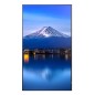 Sharp P506, 50" P-Series LFD, UHD